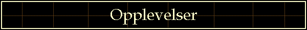 Opplevelser