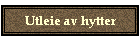 Utleie av hytter